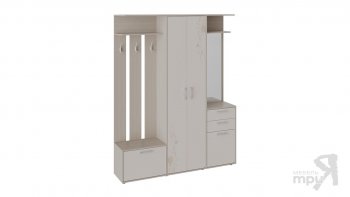 Набор мебели для прихожей «Витра» Тип 2(трия) в Боготоле - mebel154.com