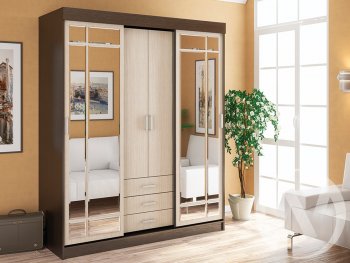 Шкаф-купе Лидер 1К(ст.меб.) в Боготоле - mebel154.com