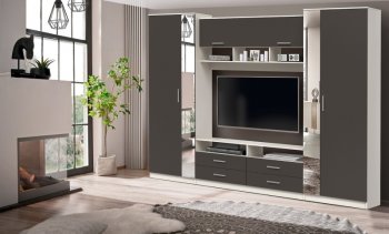 ШМЦ Вена 91.01 с зеркалом в Боготоле - mebel154.com