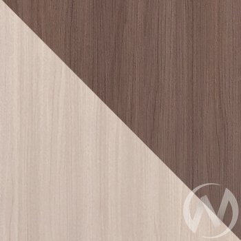 Шкаф-купе Лидер 1К(ст.меб.) в Боготоле - mebel154.com
