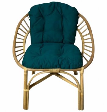 Кресло RJG-Princess (Ротанг №4, ткань JPN DRILL 034) в Боготоле - mebel154.com