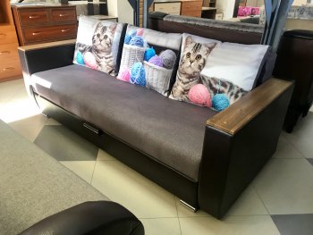 Кошки и клубки в Боготоле - mebel154.com