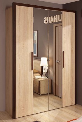 Шкаф для одежды 2-х дверный 9 Bauhaus в Боготоле - mebel154.com