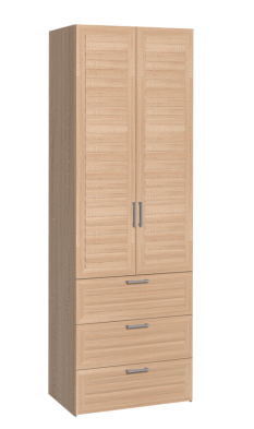 Шкаф для одежды 2-х дверный с ящ 12 Регата в Боготоле - mebel154.com