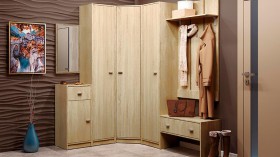 Шкаф для одежды Тифани-1 в Боготоле - mebel154.com