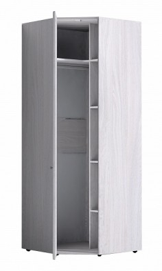 Шкаф для одежды угловой 56 Paola в Боготоле - mebel154.com