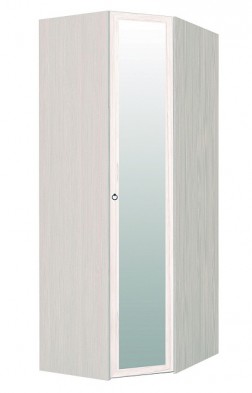 Шкаф для одежды угловой с зеркалом 56-2 Марсель в Боготоле - mebel154.com