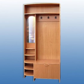 Шкаф для прихожей-1 Вишня в Боготоле - mebel154.com