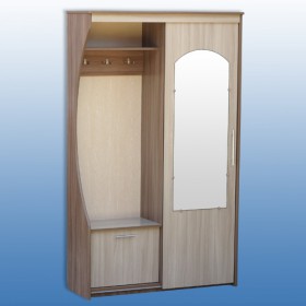 Шкаф для прихожей-2 в Боготоле - mebel154.com