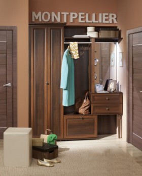 Шкаф для прихожей МЦН 2 Montpellier в Боготоле - mebel154.com